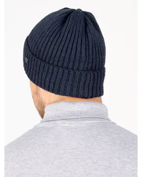 Где купить Шапки мужские: Весна-Осень