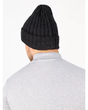 Цены Шапки мужские: Зима