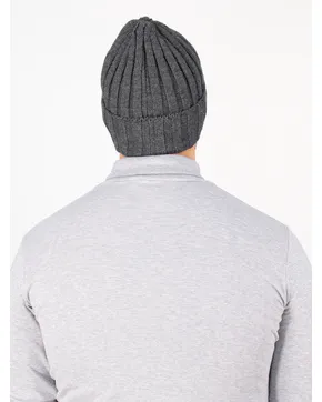 Шапки мужские: Зима от производителя