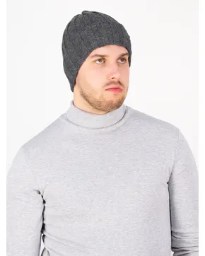 Цены Шапки мужские: Зима
