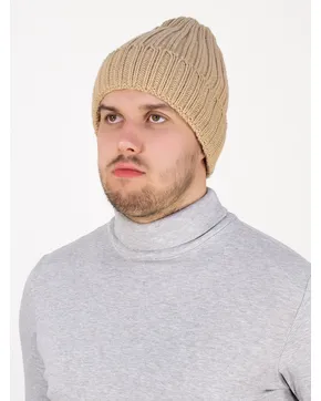 Купить Шапки мужские: Зима