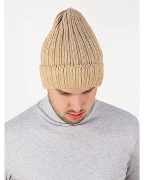 Купить Шапки мужские: Зима