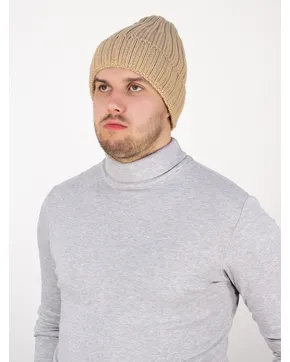 Приобрести Шапки мужские: Зима