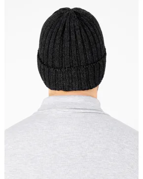 Где купить Шапки мужские: Весна-Осень