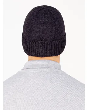 Где купить Шапки мужские: Зима