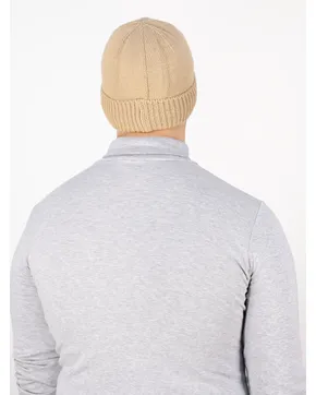 Шапки мужские: Зима от производителя