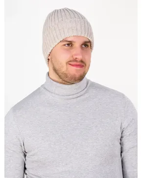 Приобрести Шапки мужские: Весна-Осень